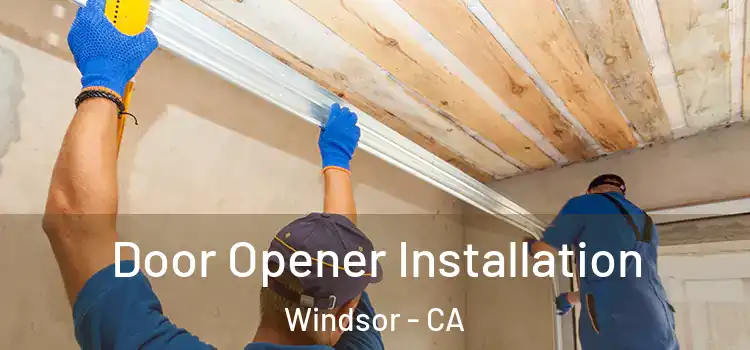 Door Opener Installation Windsor - CA